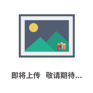 里博leeb120里氏硬度計